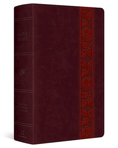 ESV Large Print Personal Size Bible