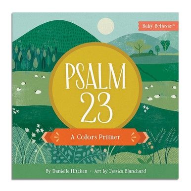 Psalm 23 (Baby Believer) A Colors Primer (flawed)