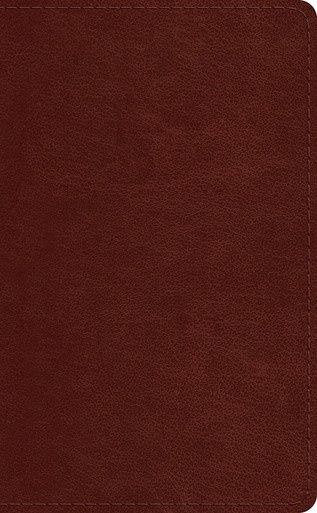 ESV Pocket Bible-Chestnut