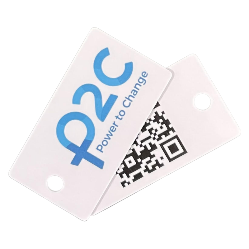 Key fob (P2C)