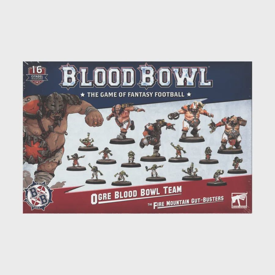 202-02 Blood Bowl: Ogre Team