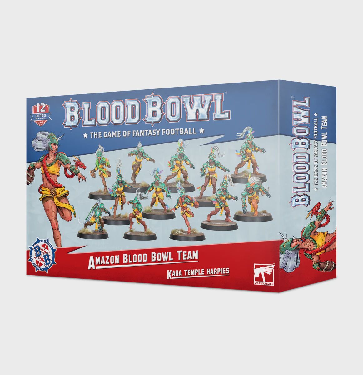 202-26 Blood Bowl: Amazon Team