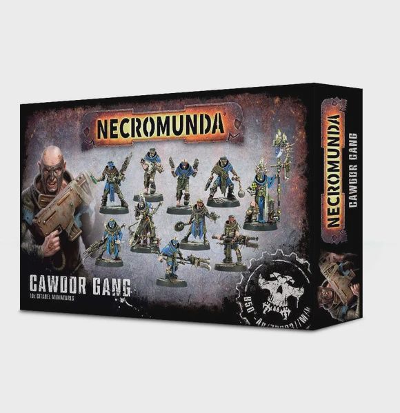 300-31 Necromunda Cawdor Gang