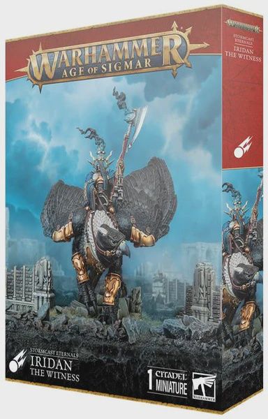 96-71 SE: Iridan the Witness