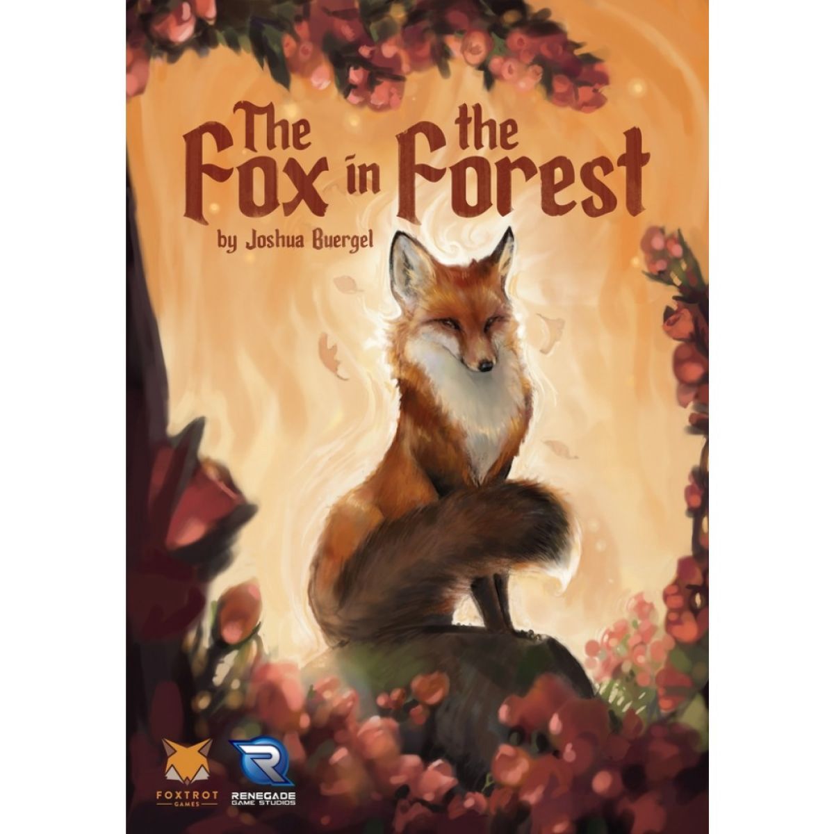 BG Fox in the Forest