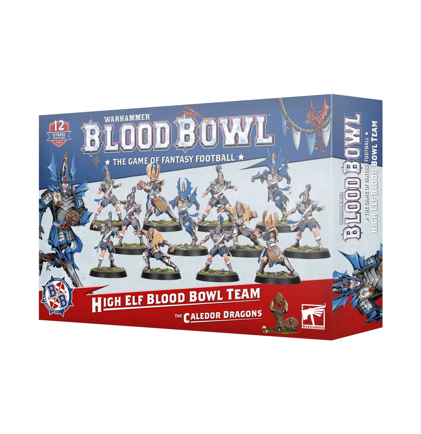 202-62 Bloood Bowl: High Elf Team