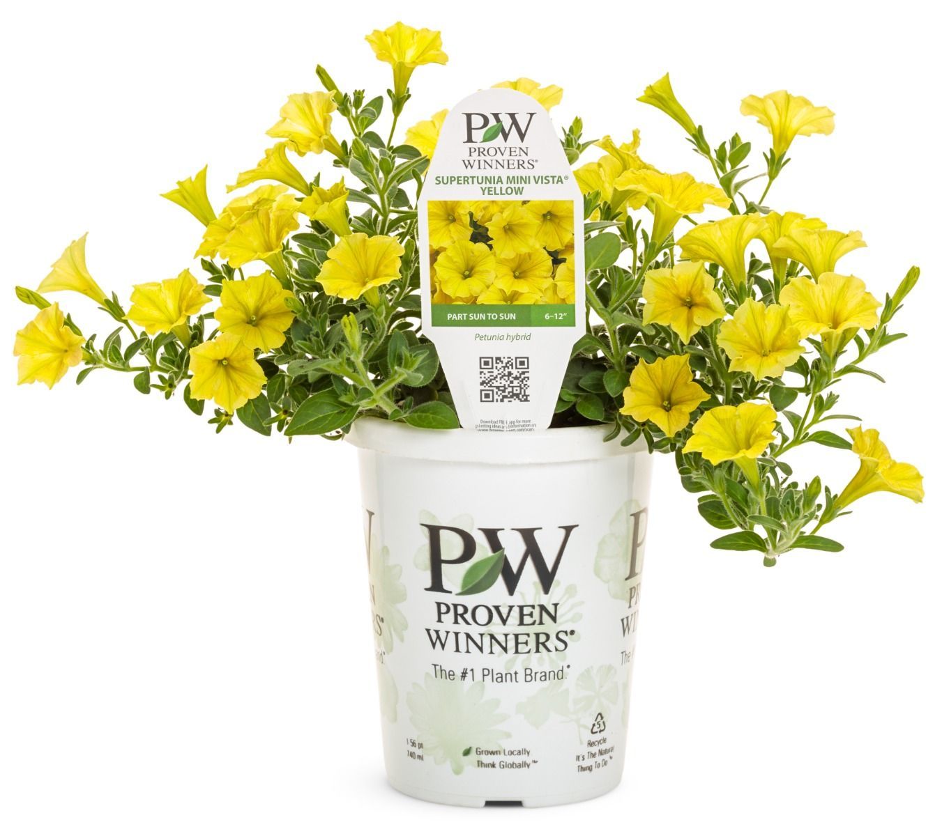 Supertunia MINI VISTA VISTA Yellow