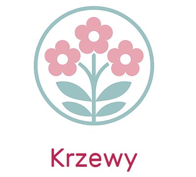 Krzewy
