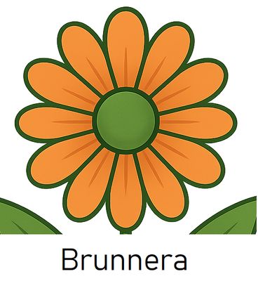 Brunnera