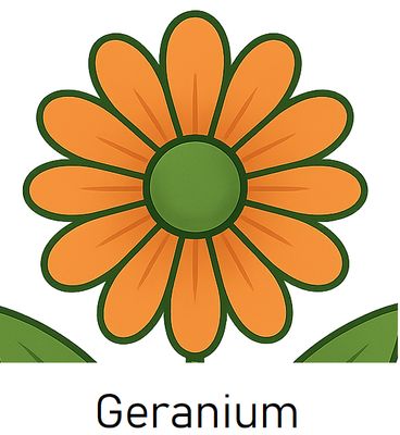 Geranium