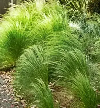 Na stanowisko słoneczne