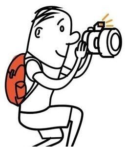 Jak wyglądają sprzedawane rośliny ?