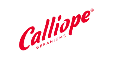 Calliope® pelargonia logo