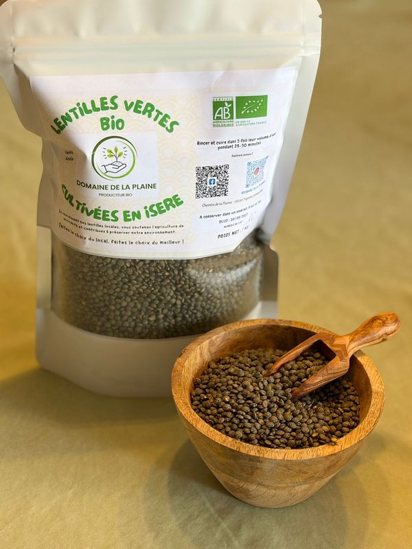 Lentille vertes bio anicia  sans gluten 1 kg