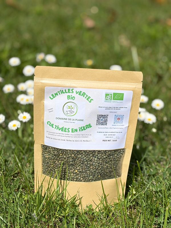 Lentille vertes bio anicia  sans gluten 0,5kg