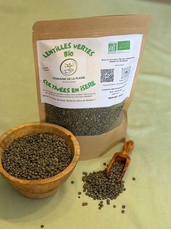 Lentille vertes bio anicia  sans gluten 0,5kg