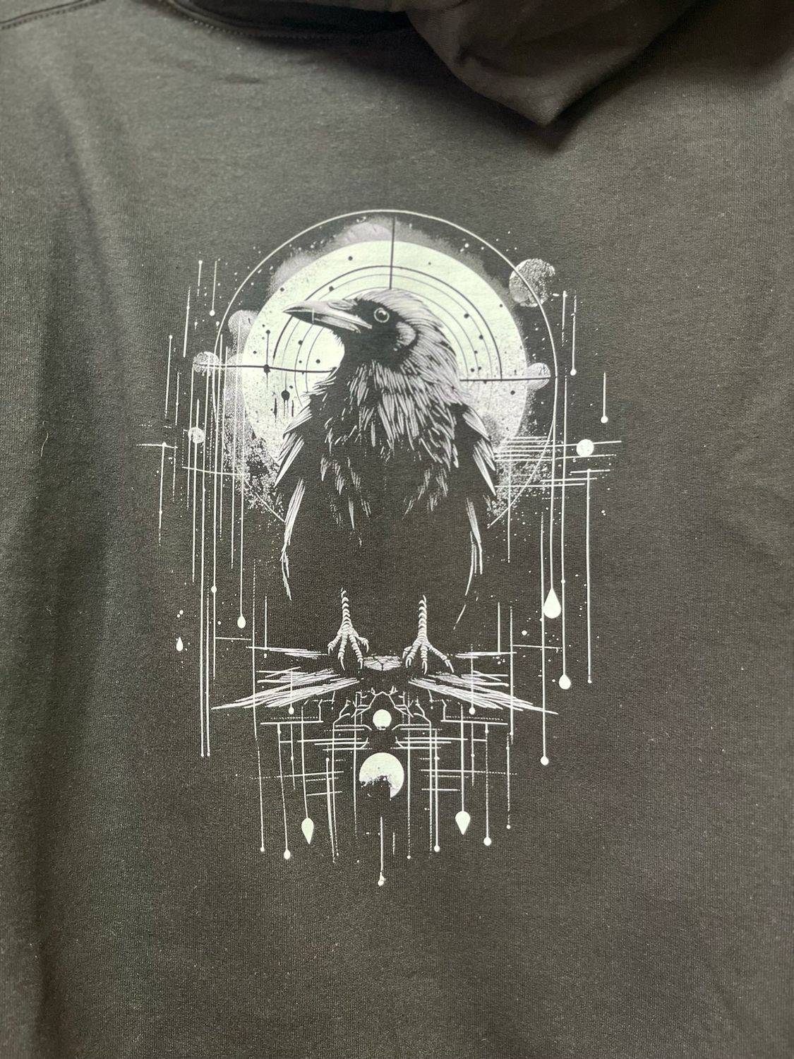 Celestial Raven Hoodie