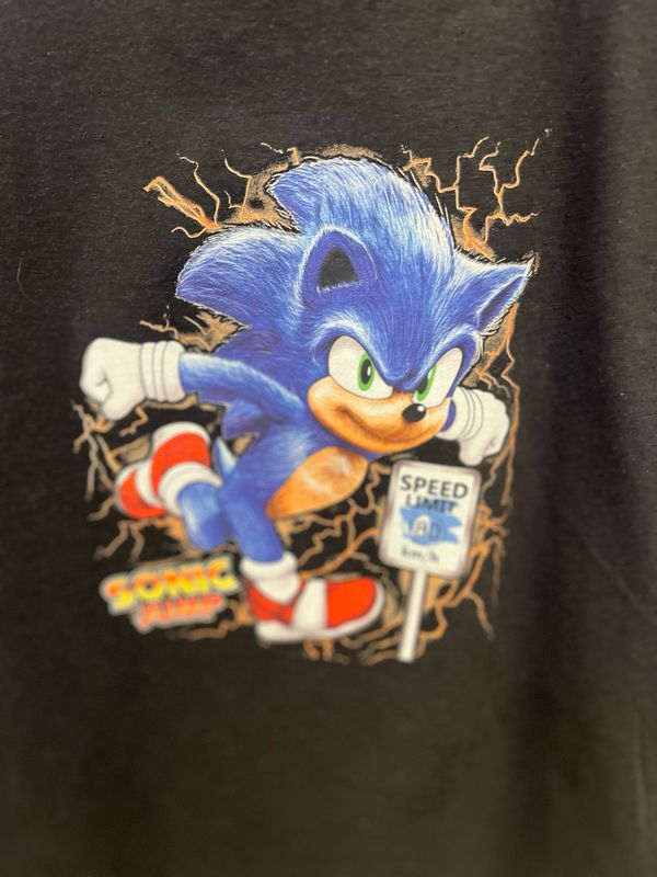 Sonic the Hedgehog Speed Hoodie