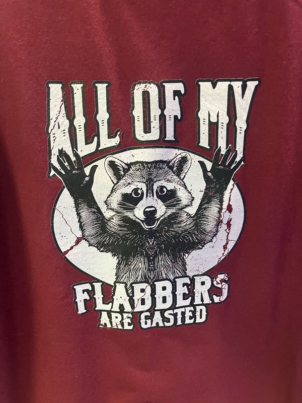 “All of My Flabbers Are Gasted” Raccoon Tee 🦝
