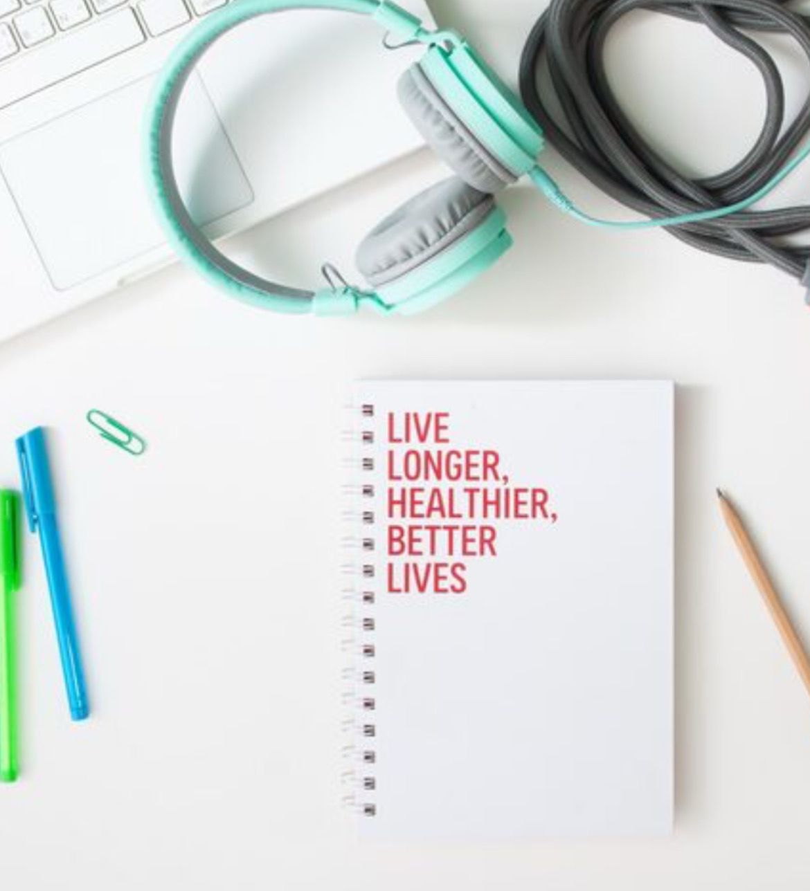 The Crafty Squirrel Box