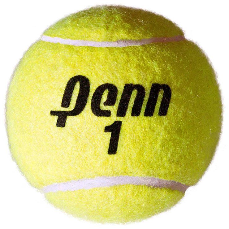 Penn Championship Tennis Balls 20 Cans