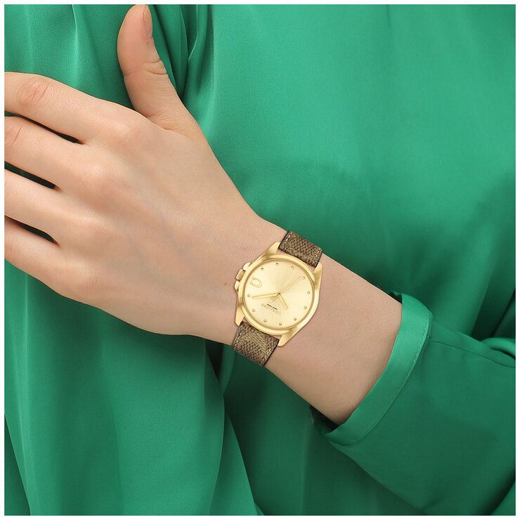 Coach Greyson Brown Leather Strap Women&#39;s Watch 14504111