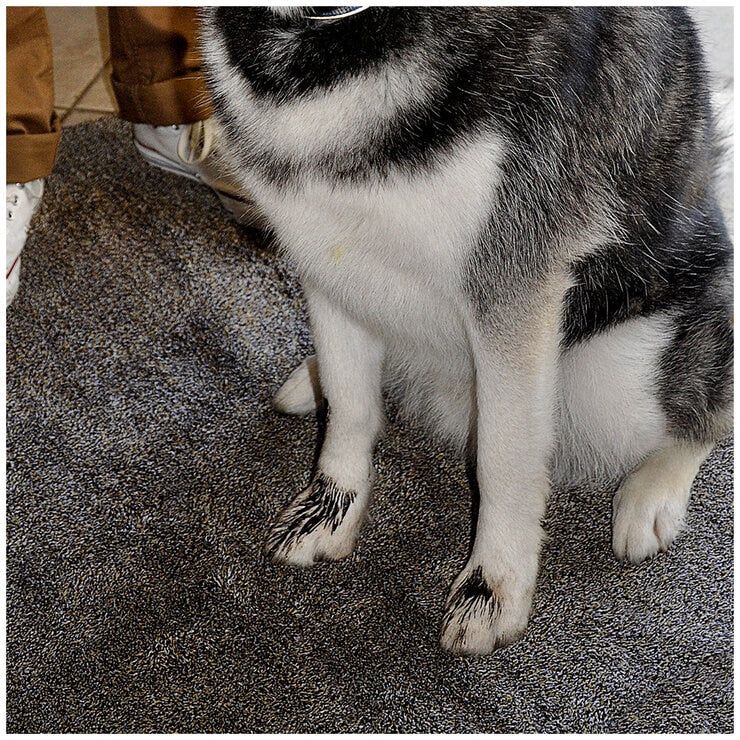 Eurow Microfibre Trek &#39;N&#39; Clean Mat