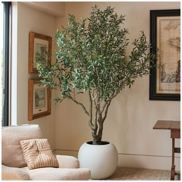 CG Hunter Faux Olive Tree 2.4M