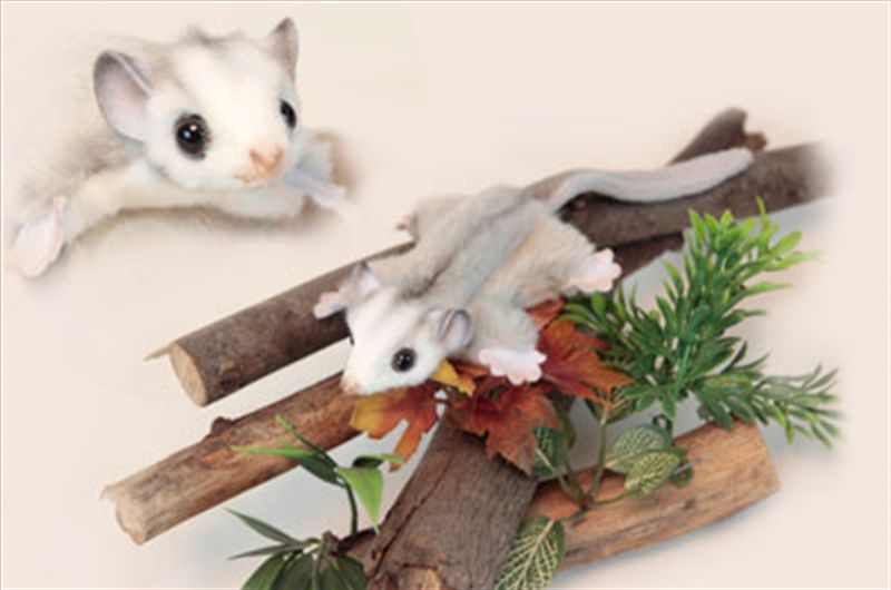 Feather Tail Glider 22cm L