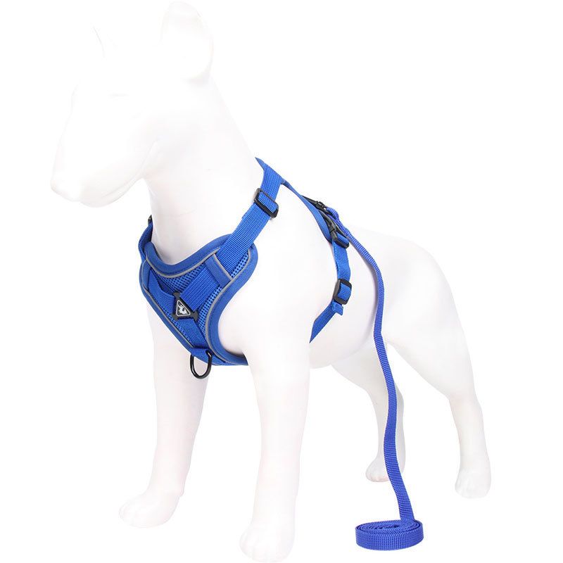 Blue Reflective Mesh Dog Harness and Leash Set - Adjustable No-Pull Vest - S