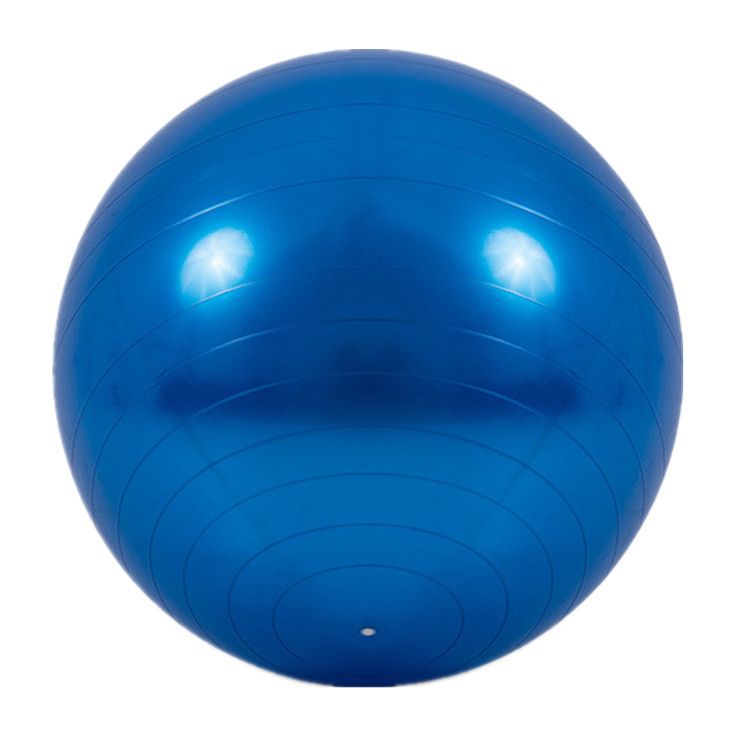 Blue 65cm Anti-Burst Yoga Exercise Ball for Pilates &amp; Core Strength