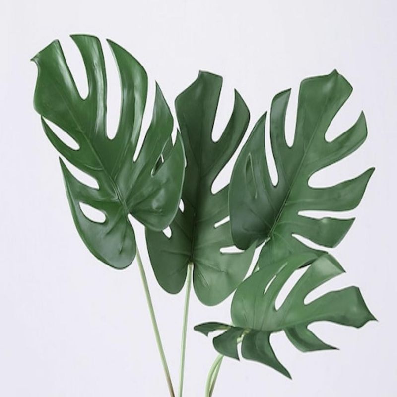 MONSTERA LEAVES MEDIUM
