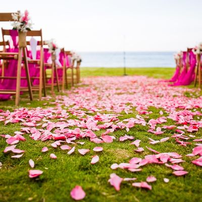 Aisle Petals