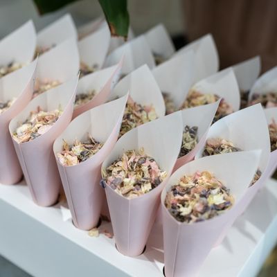 Petal Cones