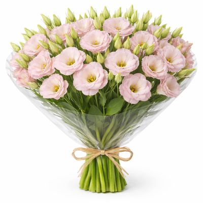 LISIANTHUS LISANNE LIGHT PINK