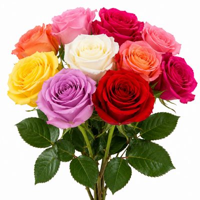 ROSES ASSORTED