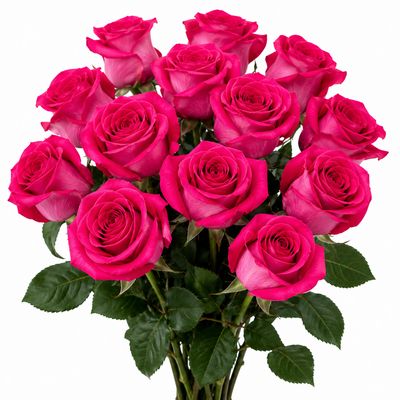 ROSE HOTPINK PINK FLOYD