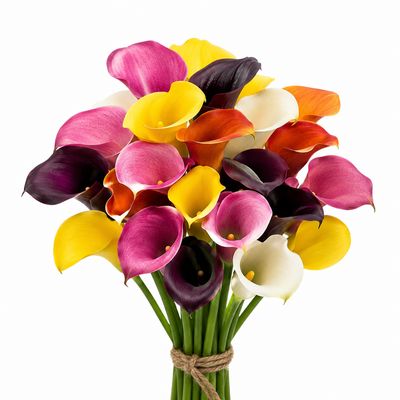 CALLA MINI ASSORTED