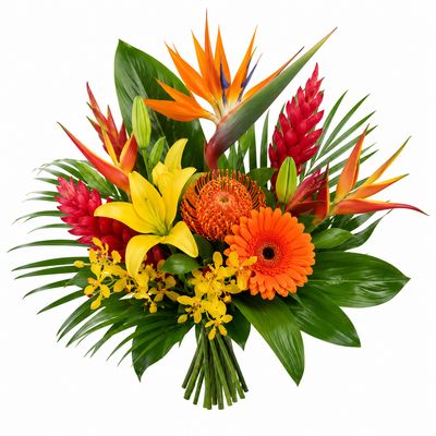BOUQUET TROPICAL SUN