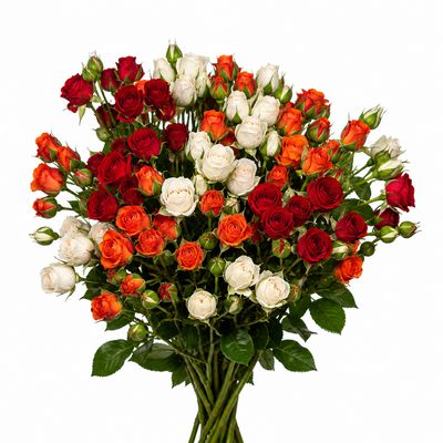 ROSE - SPRAY ASSORTED