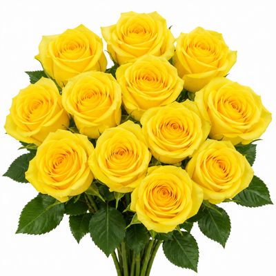 ROSE YELLOW STARDUST