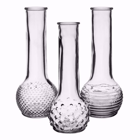 8.5" Dot Dash Bud Vase Assortment
