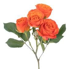 ROSE - SPRAY ORANGE 50CM