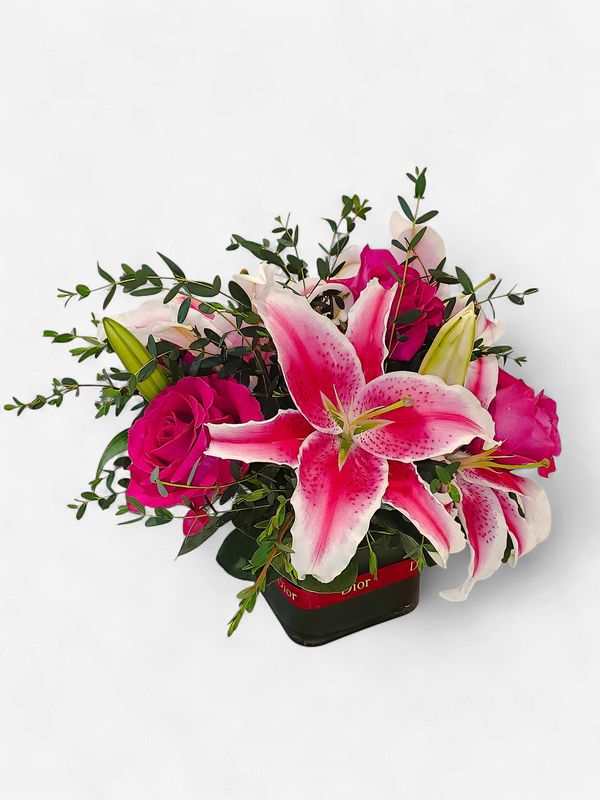 Bloom Blush