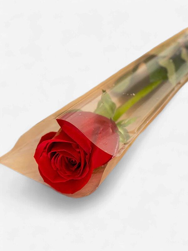 Single Rose (Wrapped)