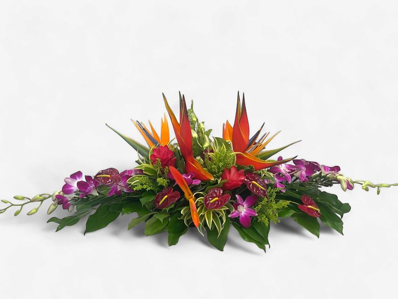 Tropical Elegance