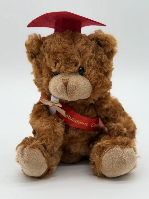 Congratulation Bears
