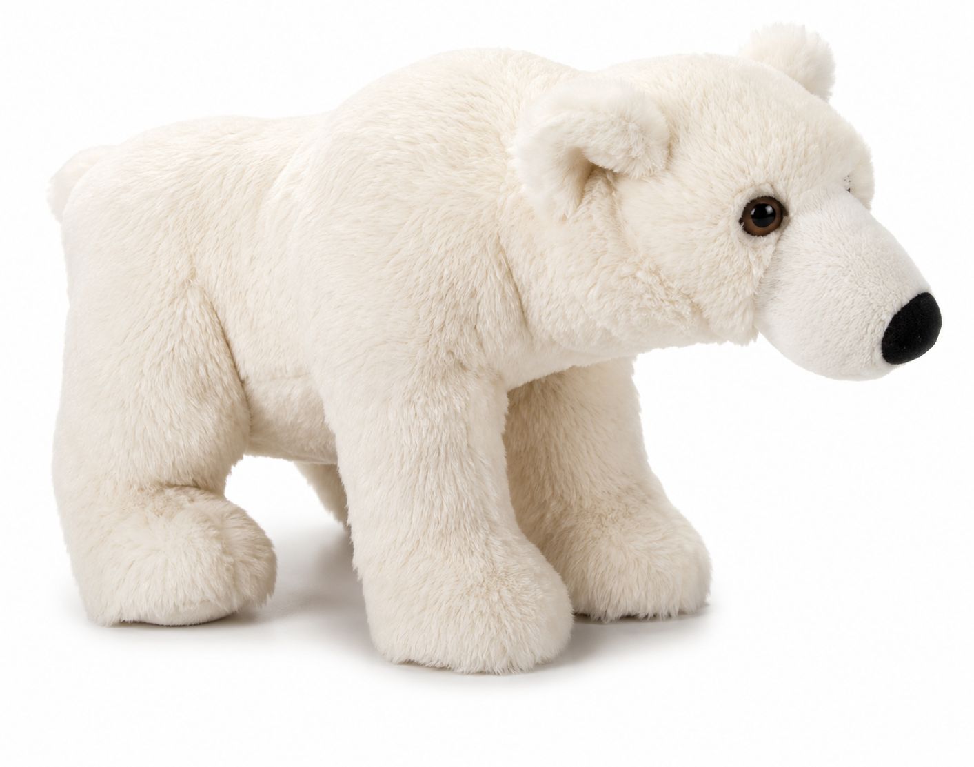 Earth Keeperz Polar Bear MD 14" (35cm)