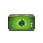 Pokemon TCG S-Chinese Energy Brilliant "Grass Energy" PR-EP Peng Yuan Gift Box