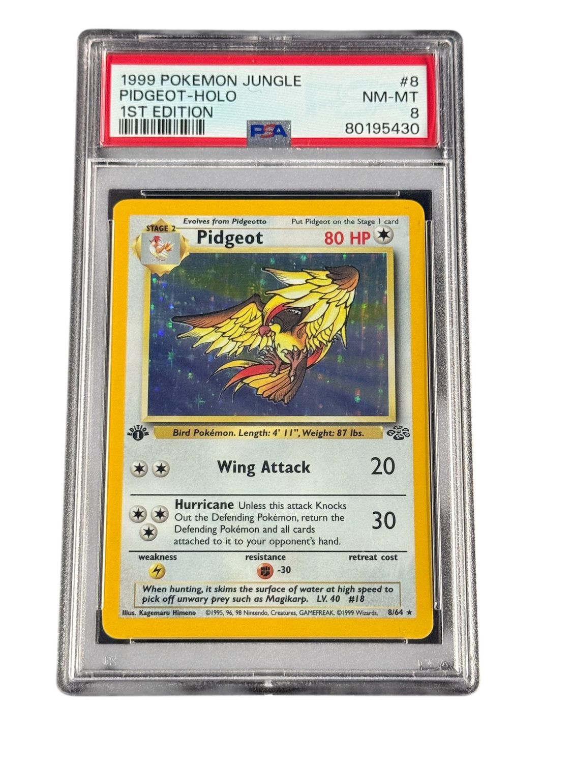 Pidgeot 8/64 HOLO Jungle 1st Edition PSA 8